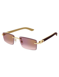 Cartier CT0582S 002