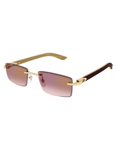 Cartier CT0582S 002