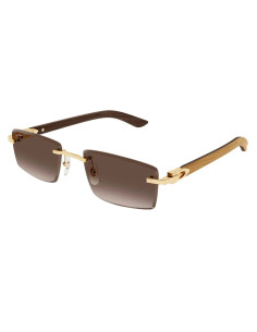 Cartier CT0582S 003
