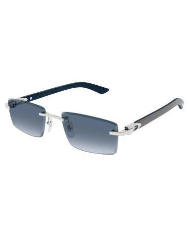 Cartier CT0582S 004