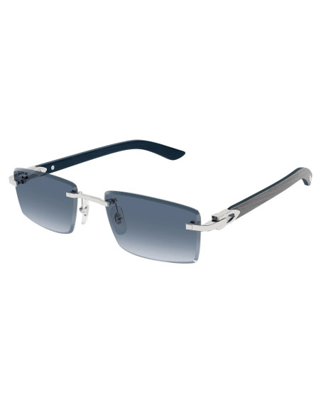 Cartier CT0582S 004