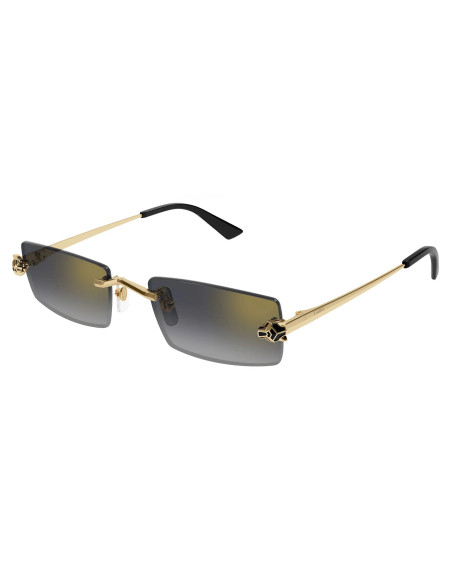 Cartier CT0598S 001