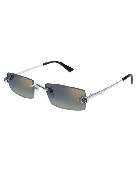 Cartier CT0598S 003