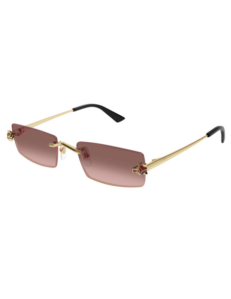 Cartier CT0598S 004