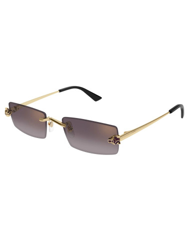 Cartier CT0598S 005