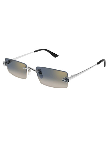 Cartier CT0598S 002