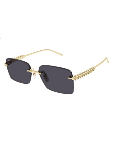 Cartier CT0598S 002