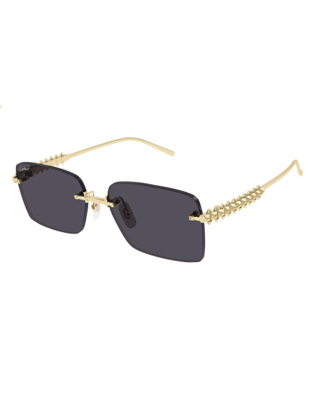Cartier CT0598S 002
