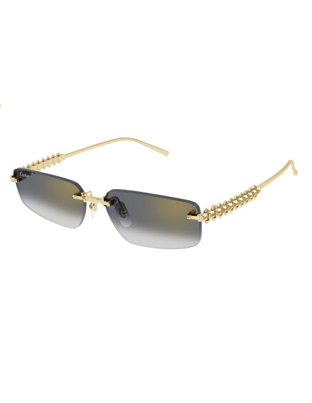 Cartier CT0598S 002