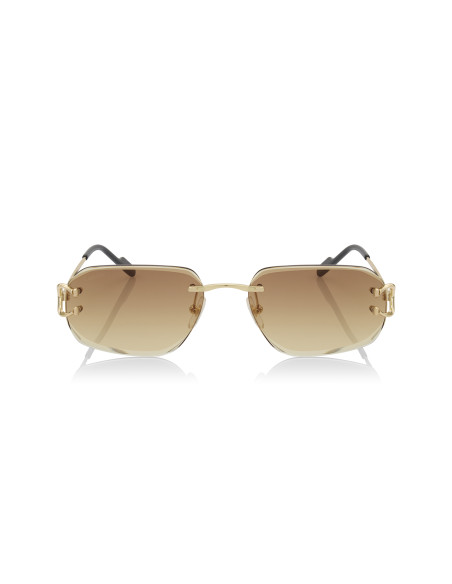 Cartier CT0468S 004