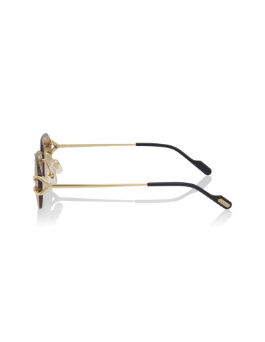 Cartier CT0468S 004