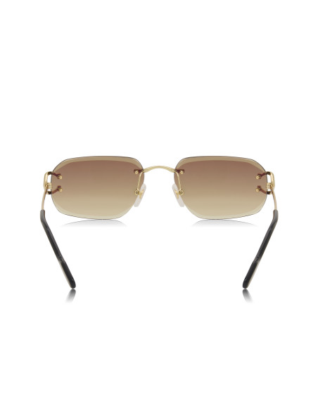Cartier CT0468S 004
