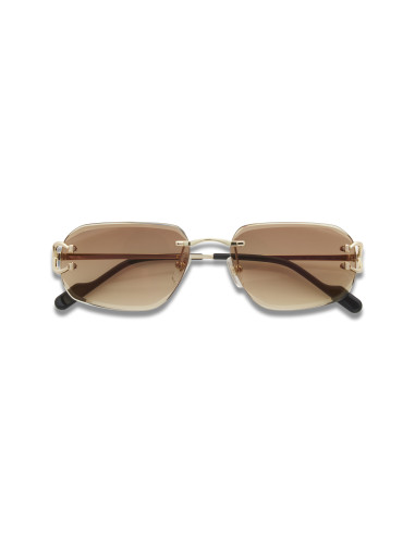 Cartier CT0468S 004