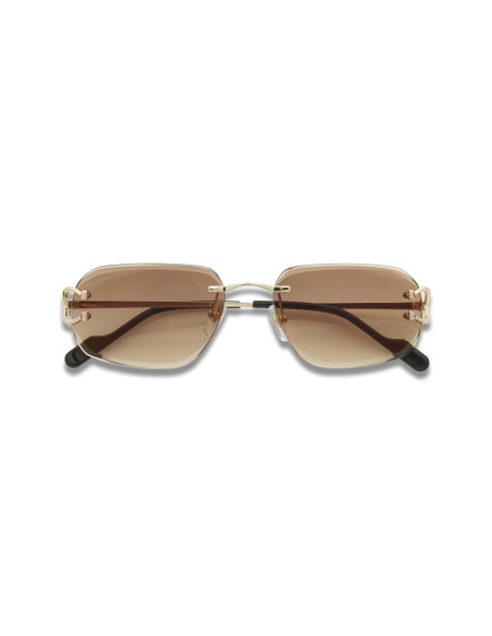 Cartier CT0468S 004