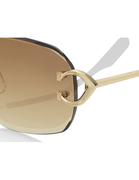 Cartier CT0468S 004