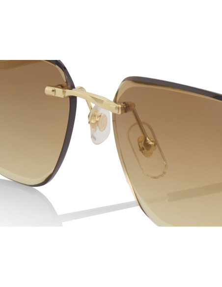 Cartier CT0468S 004