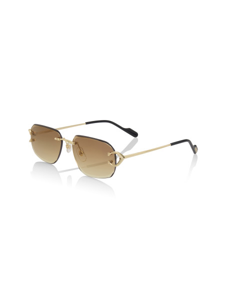 Cartier CT0468S 004