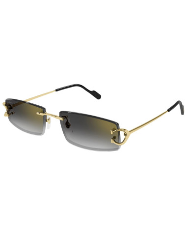 Cartier CT0466S 001