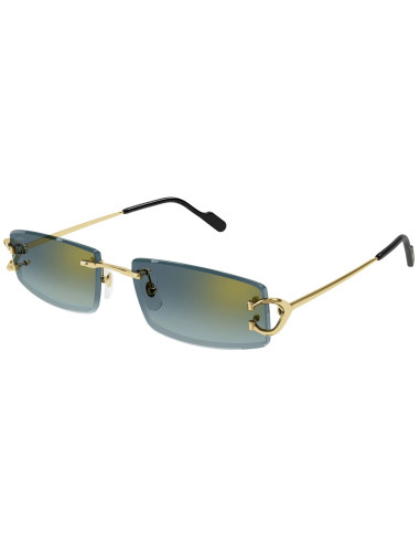 Cartier CT0465S 003
