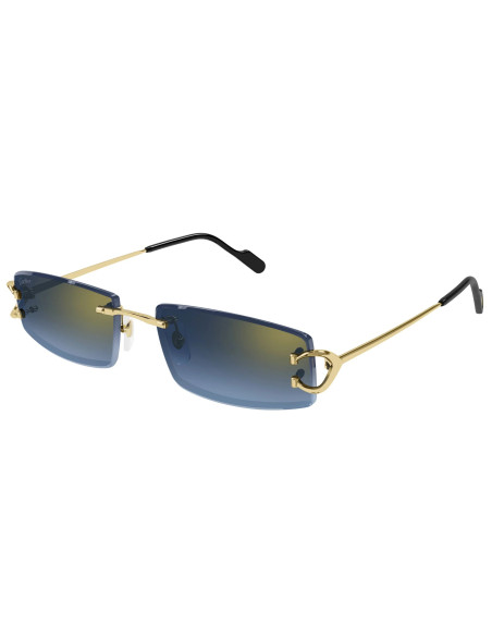 Cartier CT0465S 002