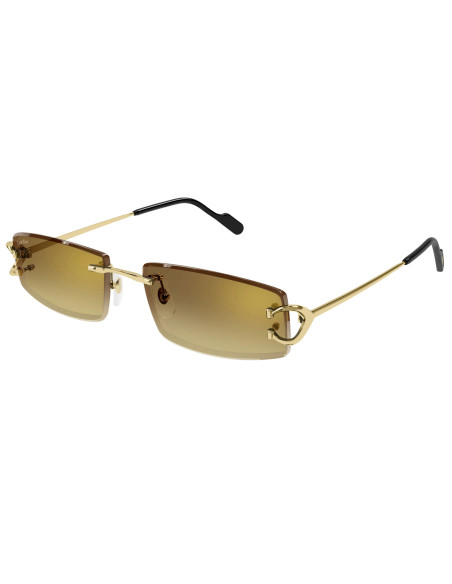 Cartier CT0465S 004