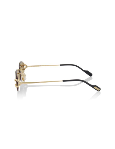 Cartier CT0467S 001