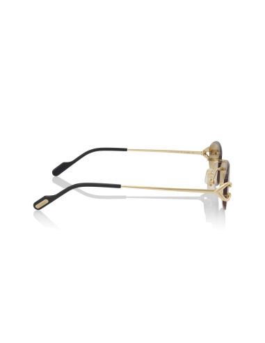 Cartier CT0467S 001