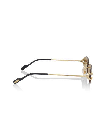 Cartier CT0467S 001