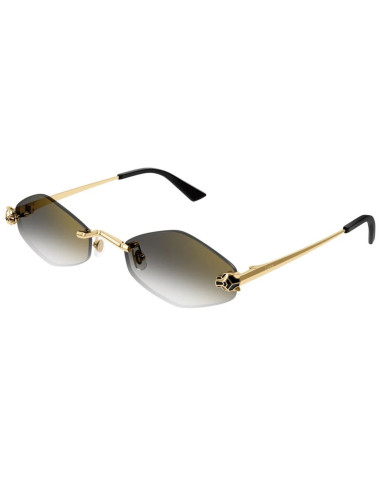 Cartier CT0433S 001