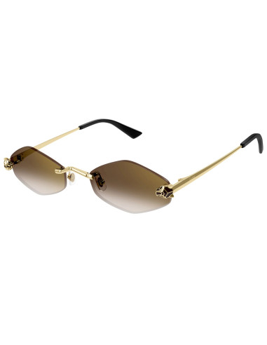 Cartier CT0433S 002
