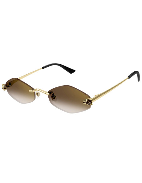 Cartier CT0433S 002