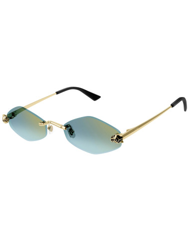 Cartier CT0433S 003