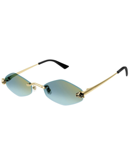 Cartier CT0433S 003