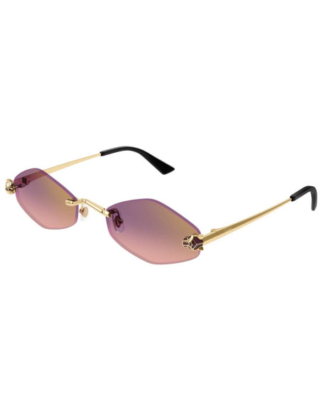 Cartier CT0433S 004