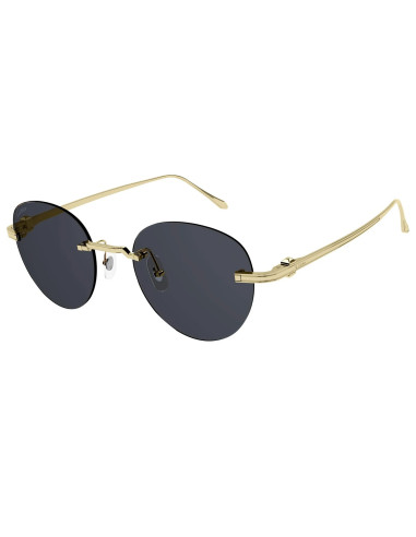 Cartier CT0331S 001