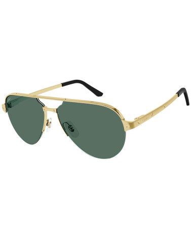 Cartier CT0386S 002