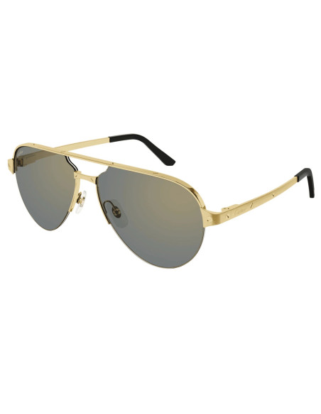 Cartier CT0386S 003
