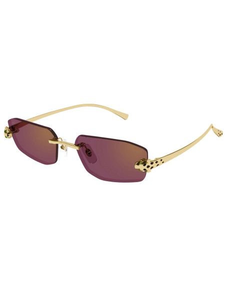 Cartier CT0474S 002