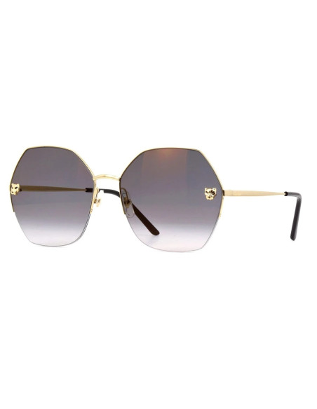 Cartier CT0466S 001