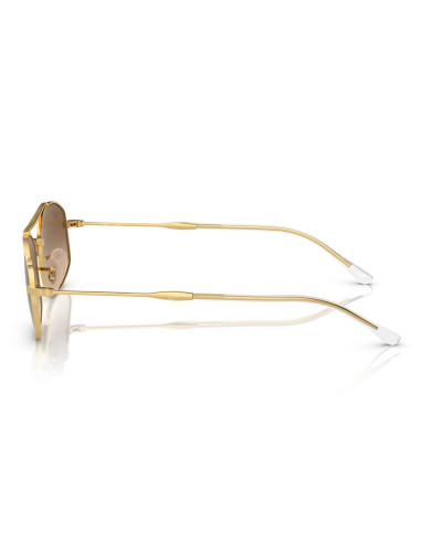 Ray-Ban RB3719 001/51
