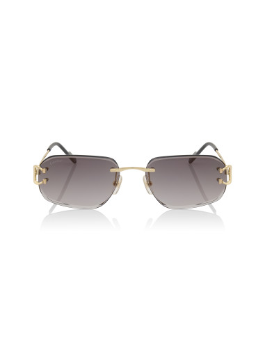 Cartier CT0468S 001