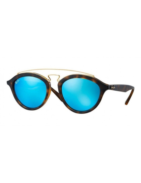 Ray Ban Rb4257 601/71 Gatsby Ii Negro G-15 Dorado Original | Sunnie...