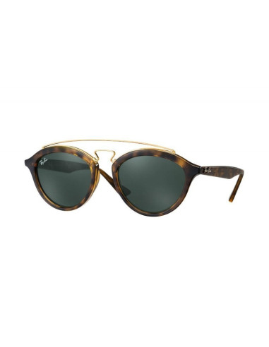 Ray Ban Rb4257 601/71 Gatsby Ii Negro G-15 Dorado Original | Sunnie...